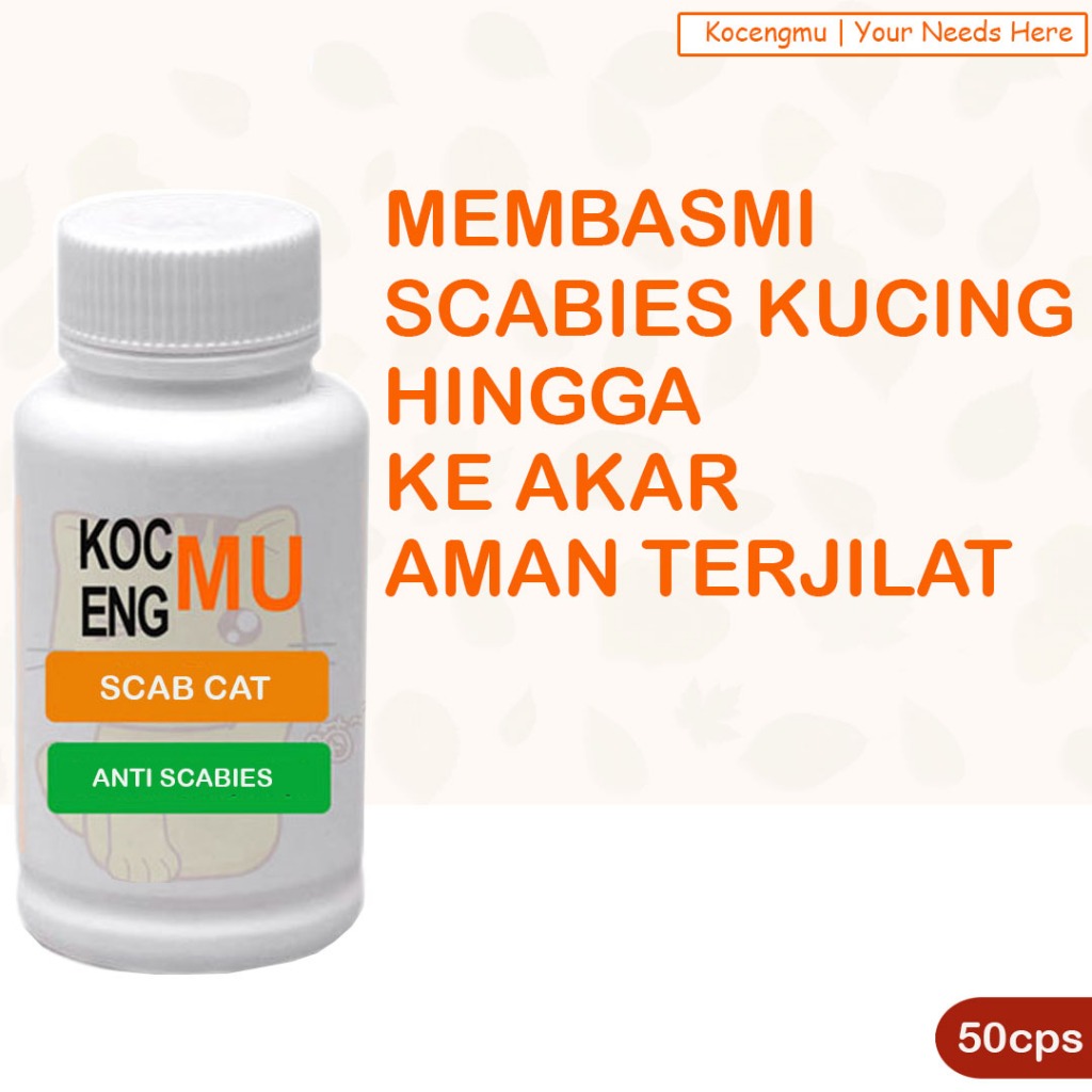 Obat Scabies Kucing Scabies Kucing Paling Ampuh Kocengmu (6Capsul)