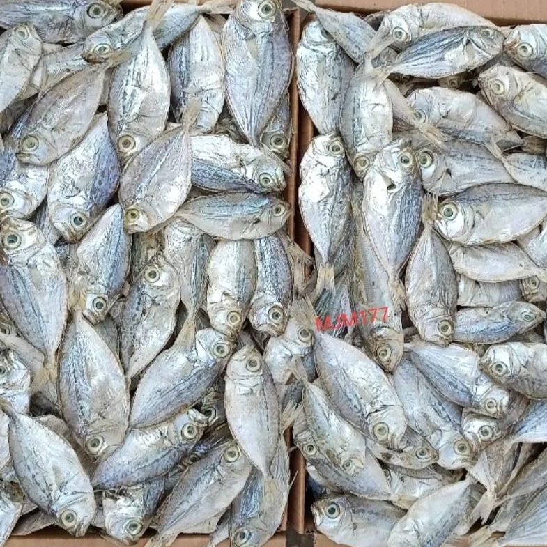 

ikan asin petek 1kg kemasan dus 1kg exlusive ikan asin dokdok gurih special superan