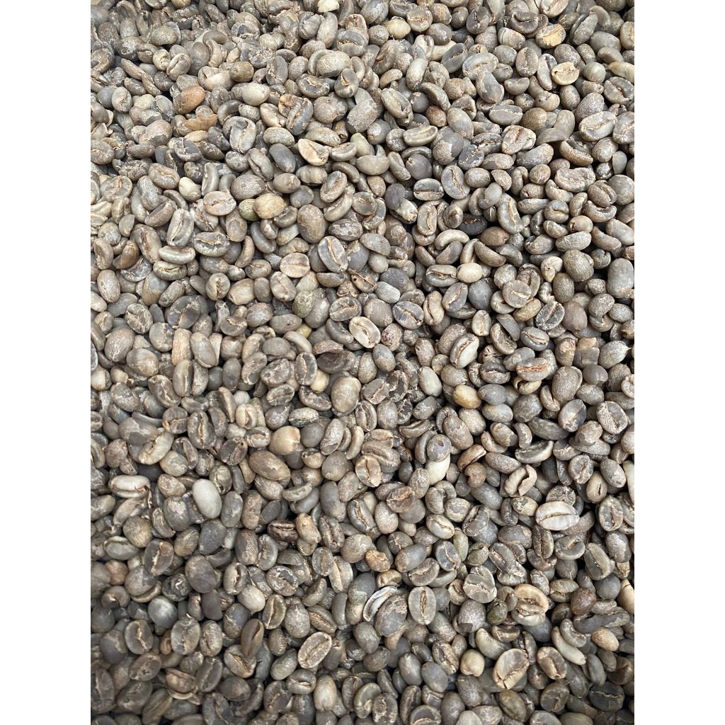 

Green Bean Kopi Biji mentah Arabika lintong sumatera 1KG