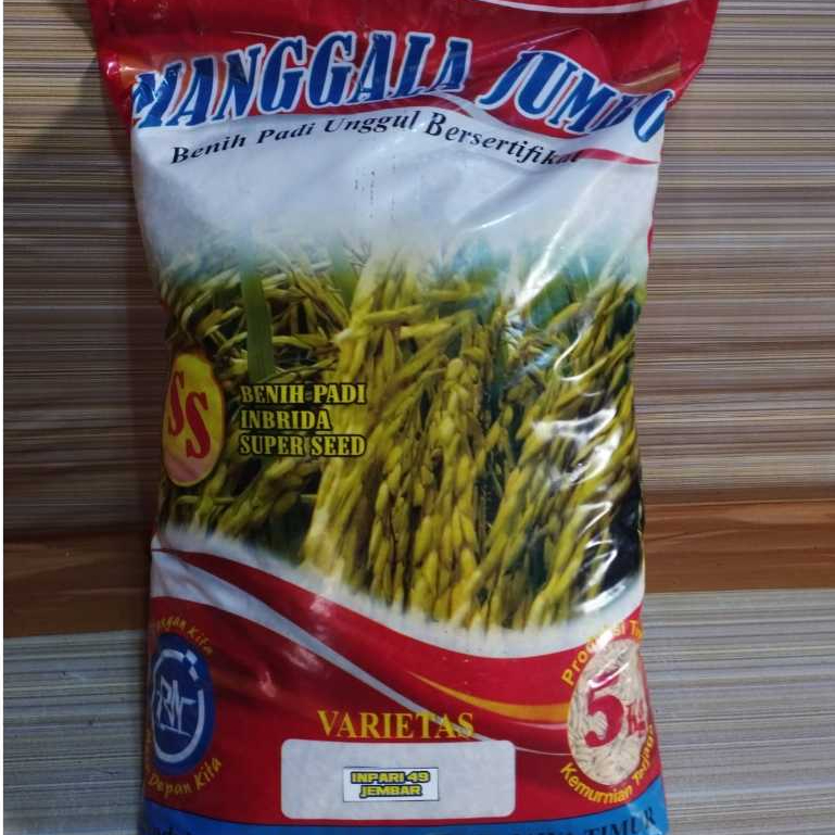 BENIH PADI VARIETAS INPARI 49 TERBARU