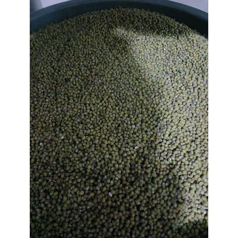 

kacang hijau 1kg