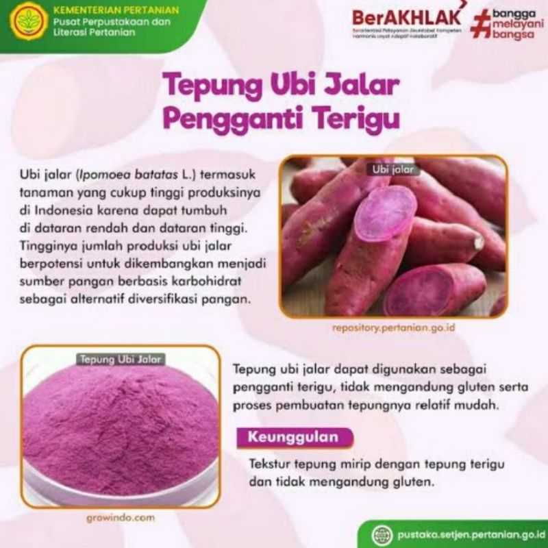

{500 GRAM} Tepung Ubi Ungu Asli Ubi Ungu 100% | Purple Sweet Potato Flour