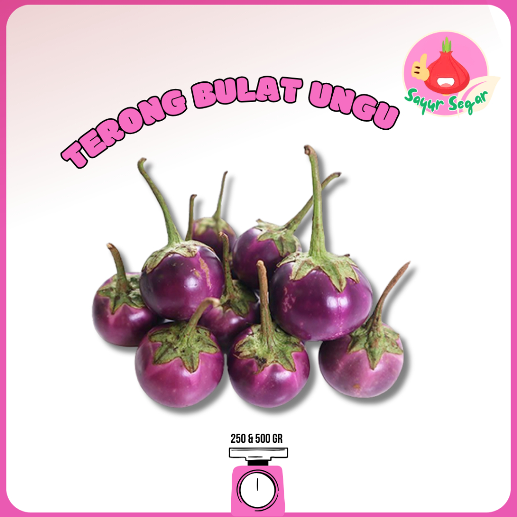 

Sayur Segar - Terong Lalap Ungu Bulat/Purple Round Eggplant