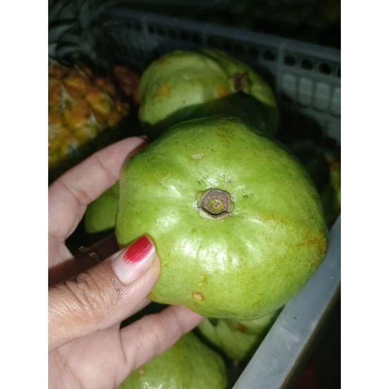 

jambu kristal berat 1kg,,dijamin masih fress