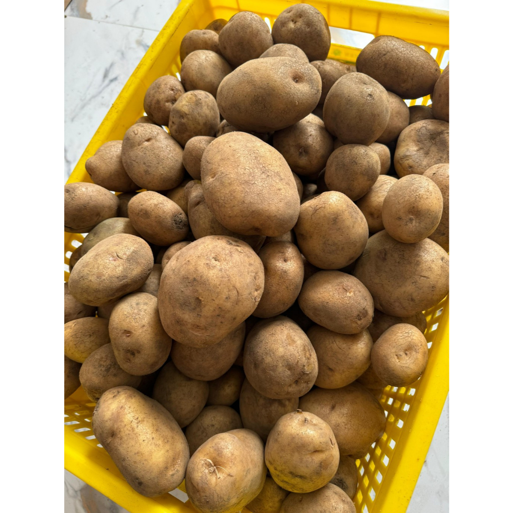 

Kentang Dieng Super Kentang Kuning Jumbo 500gr