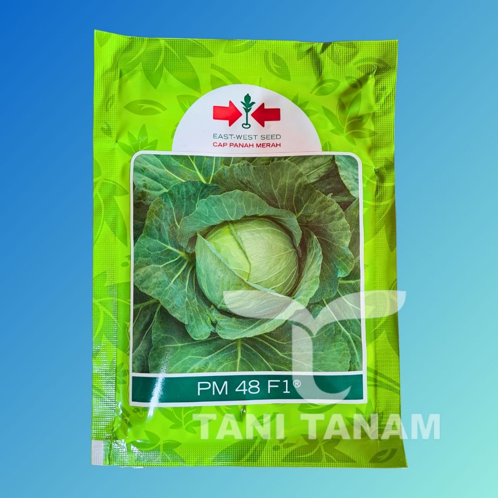 BENIH KUBIS PM 48 F1 CAP PANAH MERAH // KUBIS HIJAU PM 48 F1