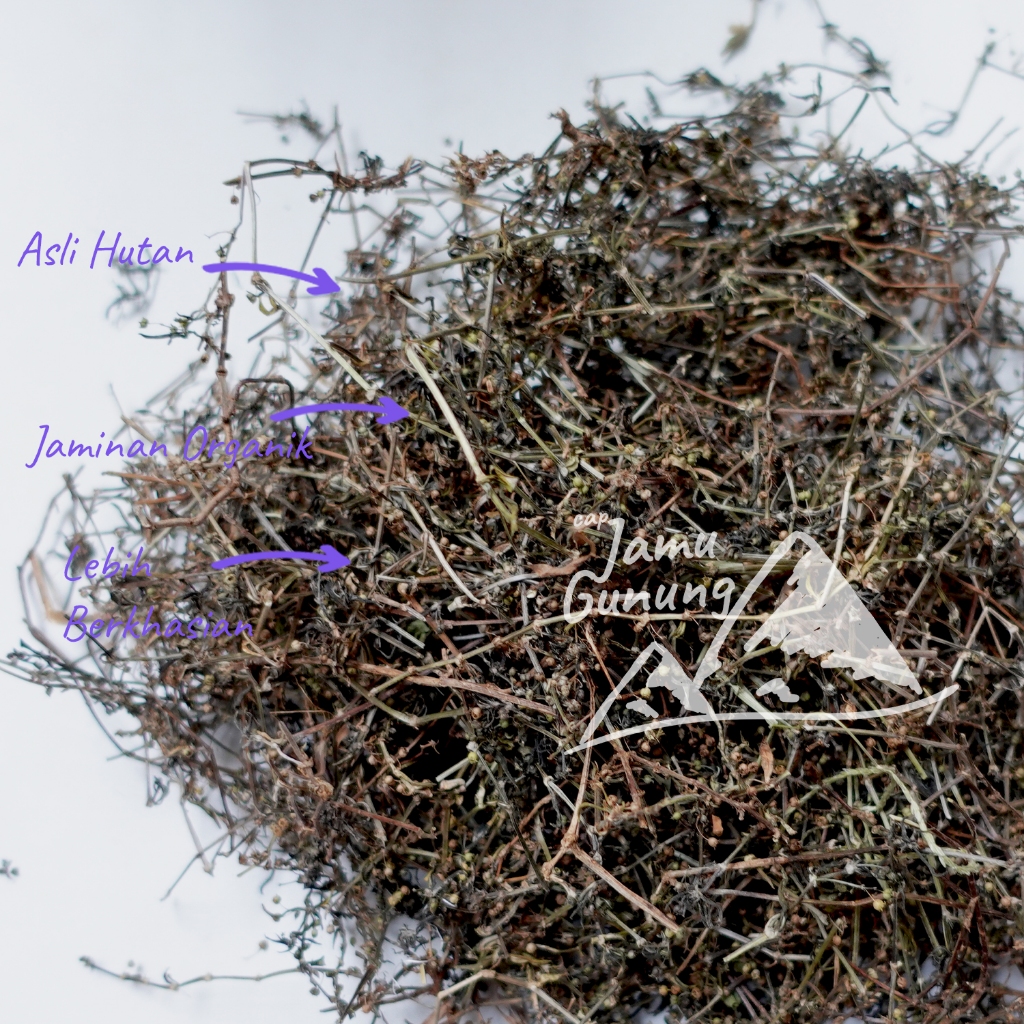 

Rumput Mutiara Kering 250gr Organik dan Liar