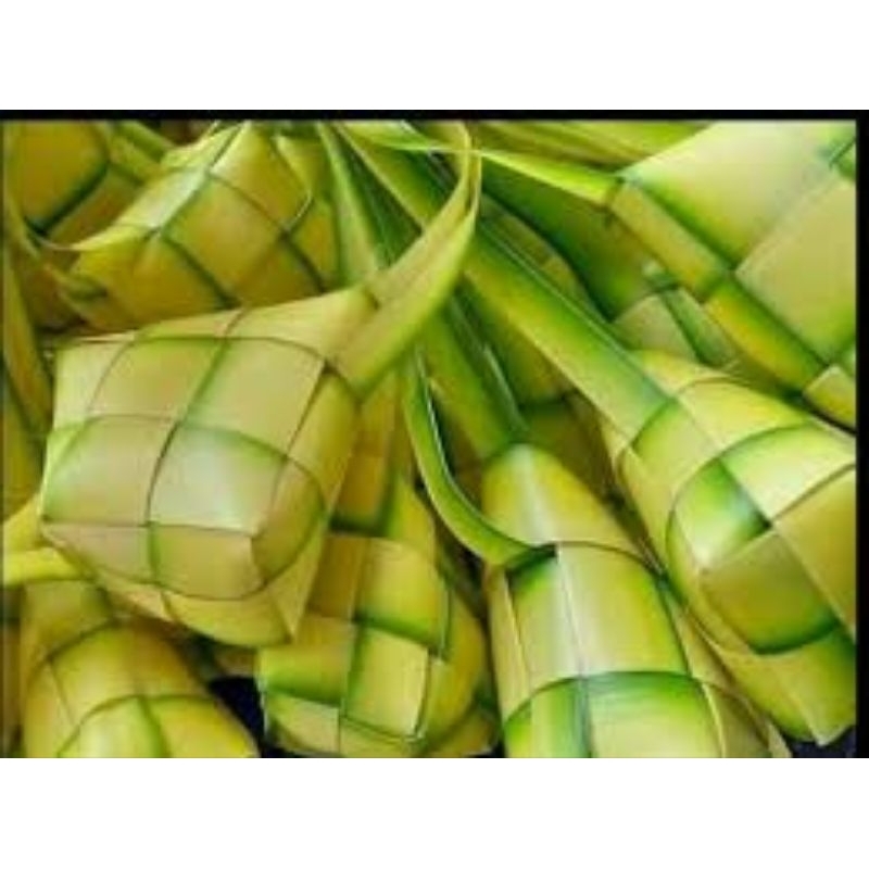 

cangka ketupat 10 pcs
