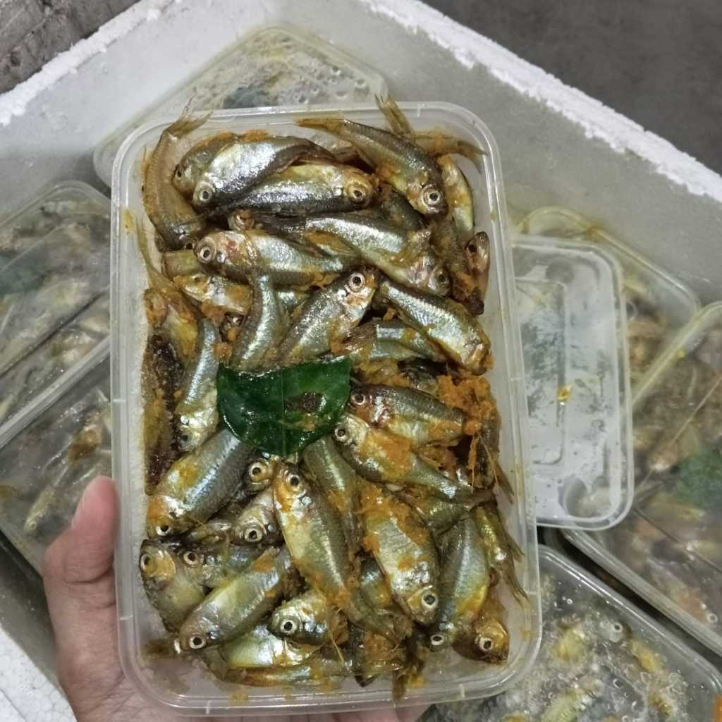 Ikan wader bumbu kuning / marinasi +/- 250gr frozen