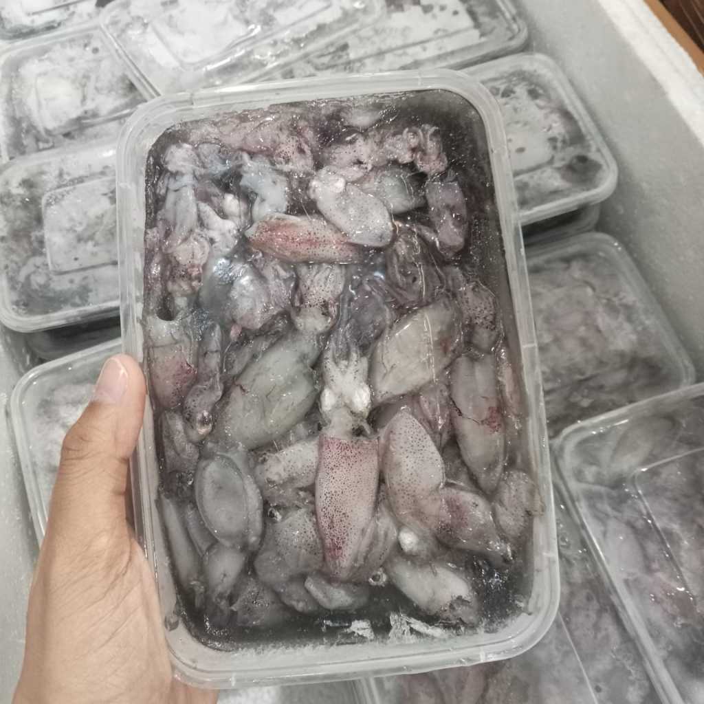 

Baby cumi basah +/- 400gr frozen