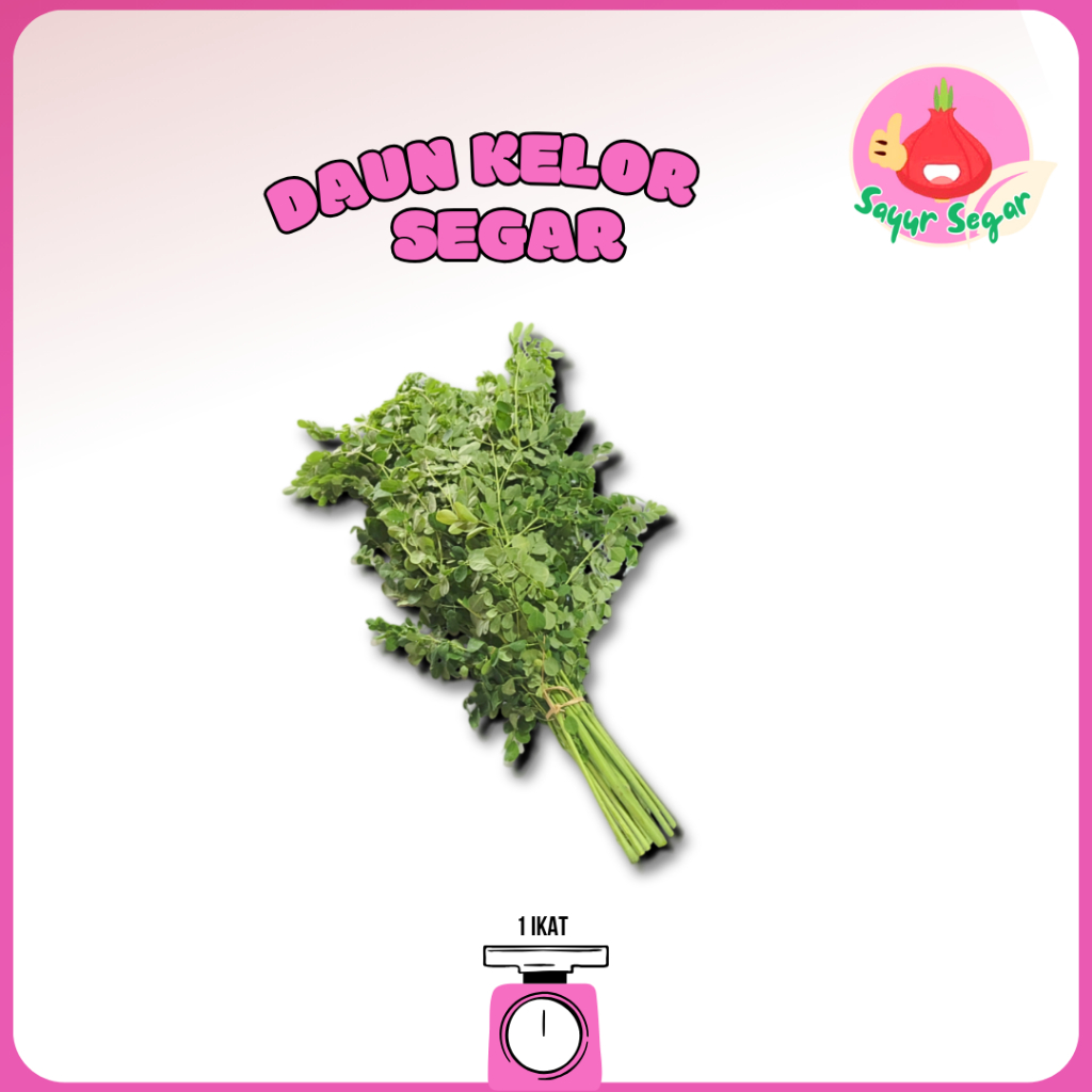 

Sayur Segar - Daun Kelor Segar/Moringa Leaf 1 Ikat