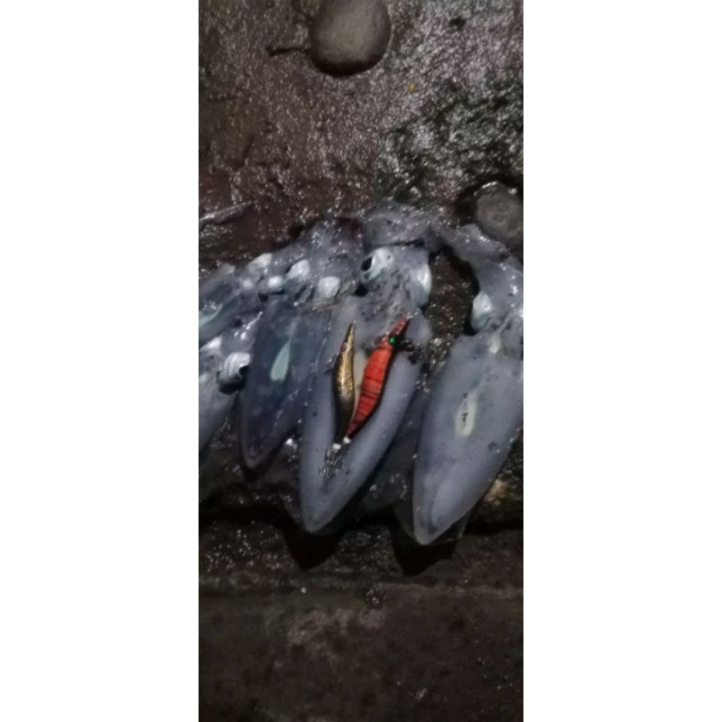 squidjig egi handmade bali egi handmade (BISA REQUEST WARNA)