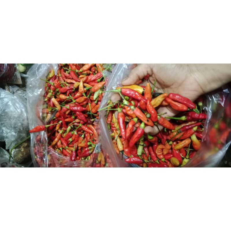 

cabe rawit 500gr