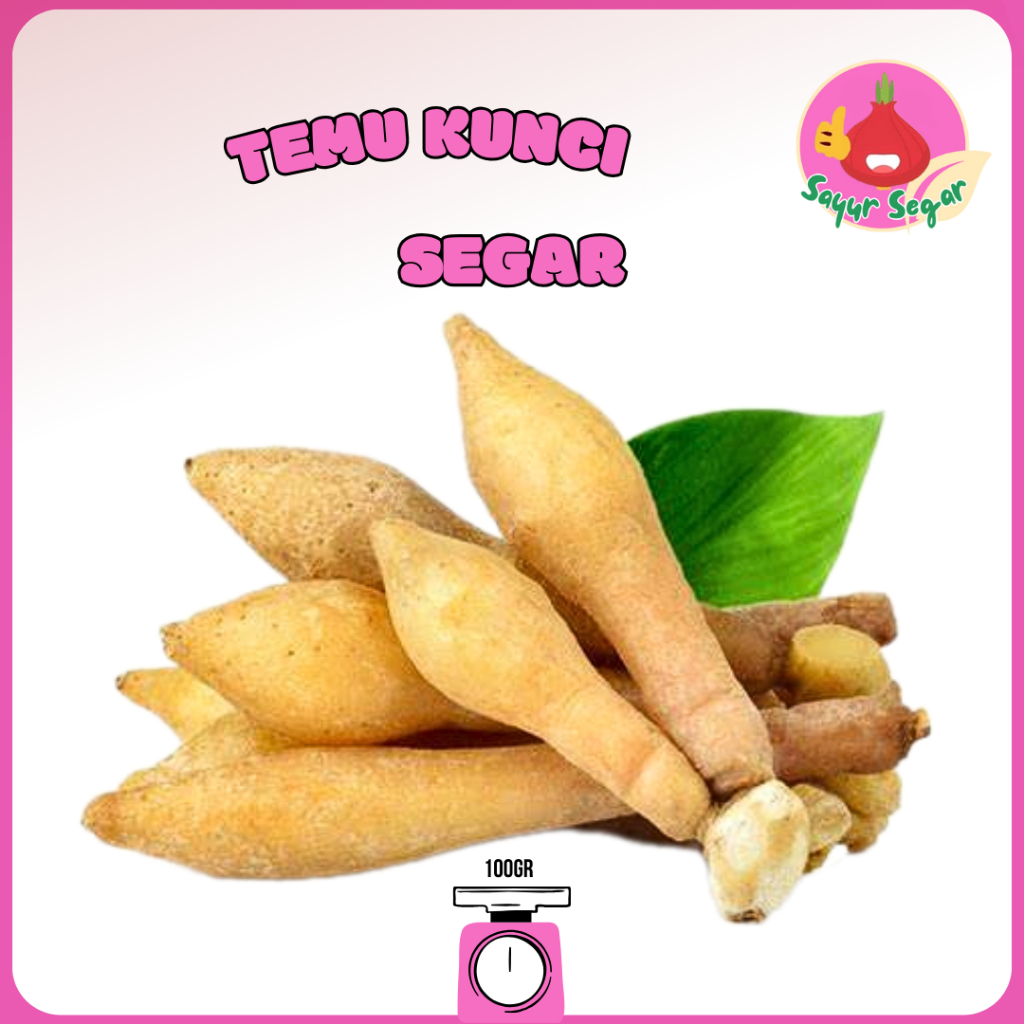 

Sayur Segar - Temu Kunci 100 gr