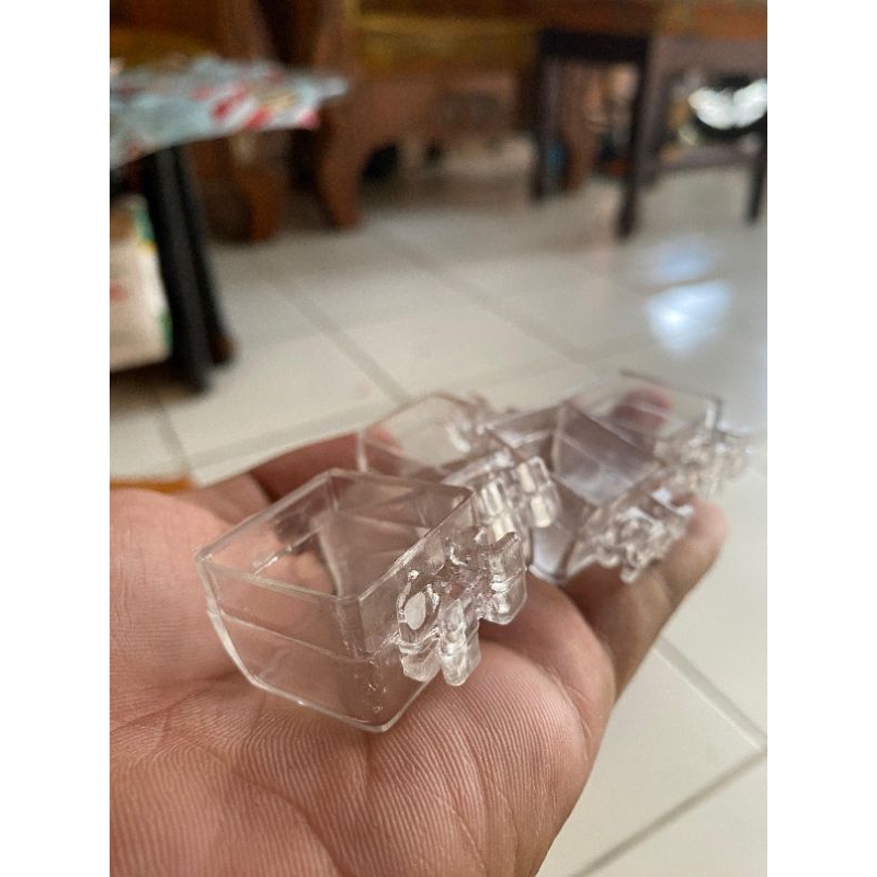 CEPUK MADU/ CEPUK BURUNG KECIL (CEPUK)