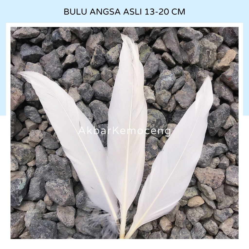 Bulu angsa tegak putih panjang 13-20 cm - bulu bebek entog angsa putih panjang untuk hiasan kepala