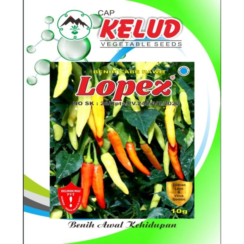 

Cabe Rawit Lopez Cap Kelud