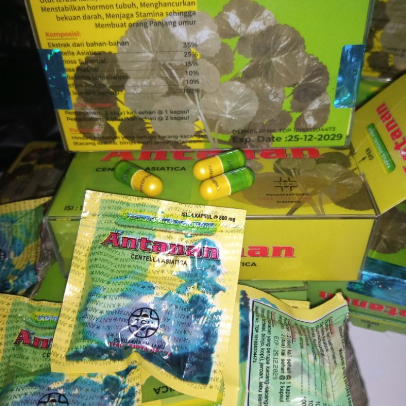 

pil panjang umur original