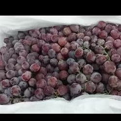 

anggur merah fresh manis 250gr