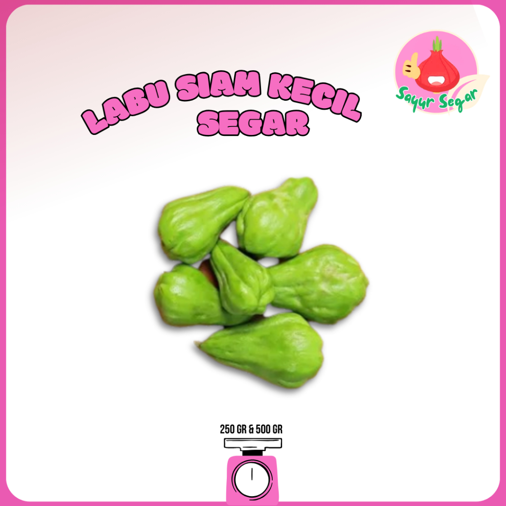 

Sayur Segar - Labu Siam Baby/Kecil/Baby Chayote