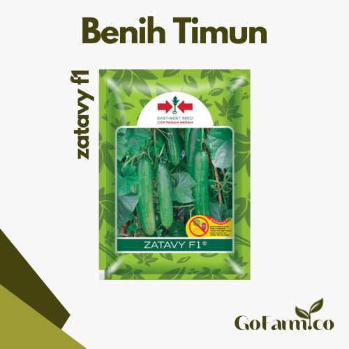 BENIH MENTIMUN / TIMUN ZATAVY F1 - Panah Merah