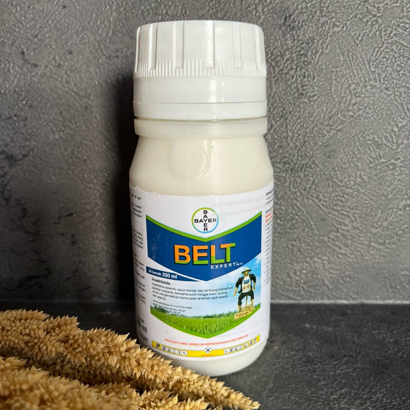 BELT EXPERT 480 SC 250ml - Insektisida