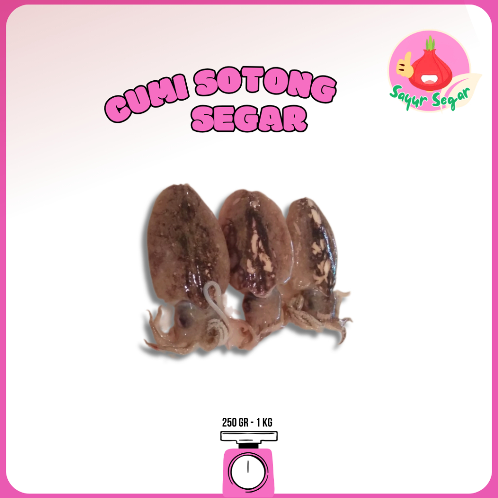 

Sayur Segar - Cumi Sotong / Cuttlefish