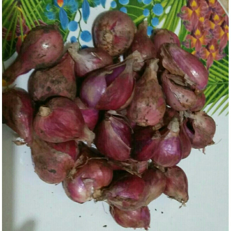 

bawang merah