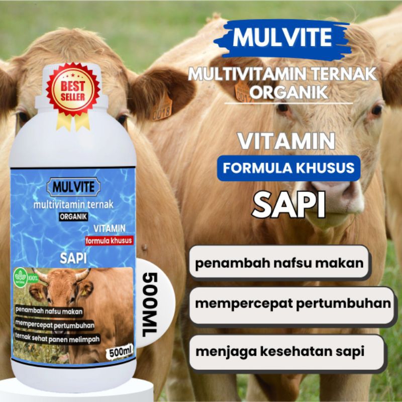 MULVITE Vitamin Probiotik Khusus Sapi, Vitamin Ternak Organik Penggemuk Sapi Meningkatkan Nafsu Maka