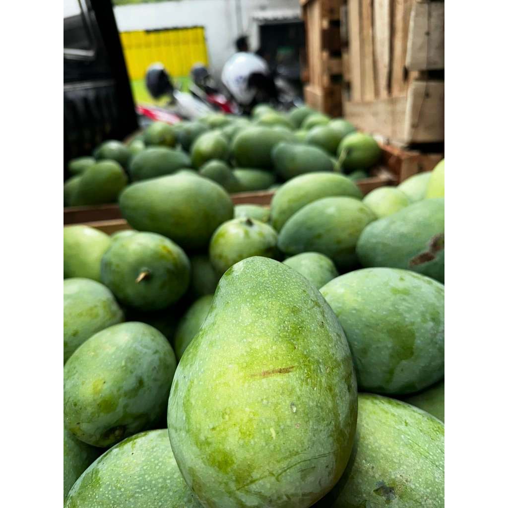 

Mangga Harumanis 1 kg isi 2/3/4