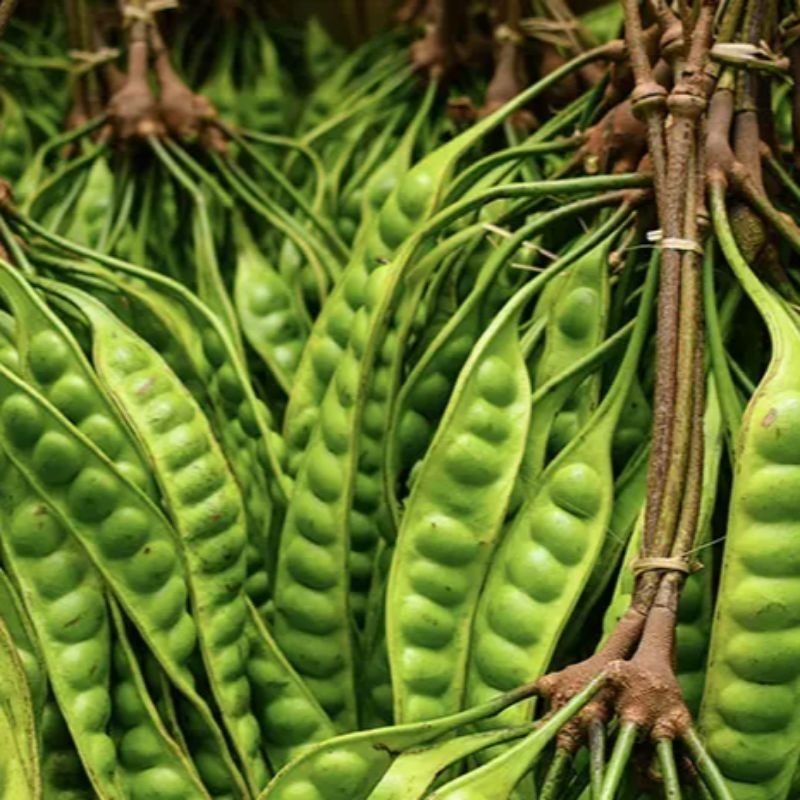 

petai - pete - petai pasar