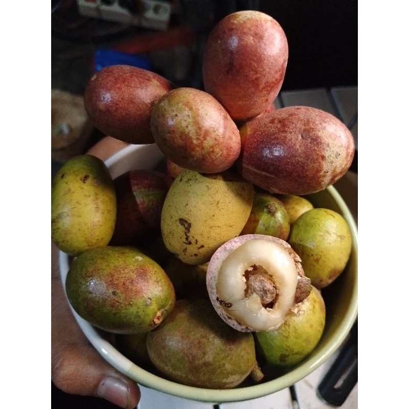 

Buah Matoa 3 rasa 700gram Murah abisss