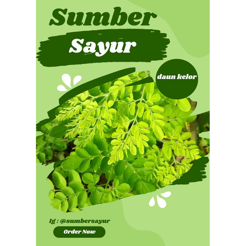 

Daun kelor sumber sayur segar murah Makassar