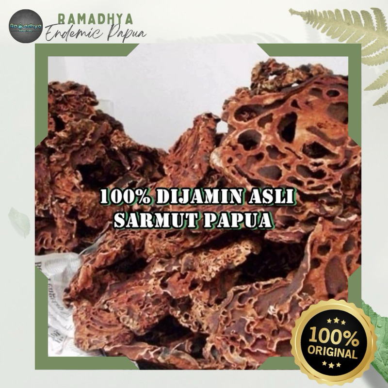 

Sarang Semut Asli Papua Original 100% DIJAMIN ASLI - Sarang Semut Merah Papua 1 Kilo Baru dan Bagus Bisa COD