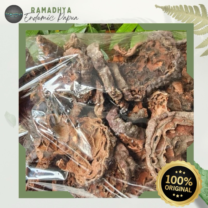 

Sarang Semut Asli Papua Original 100% Sarang Semut Papua Asli 100gr