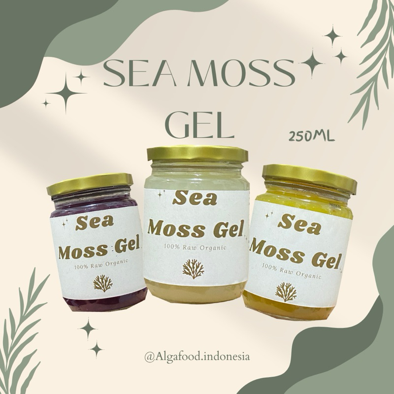 

SEA MOSS GEL 250ml stroberi seamoss euchema cotoni