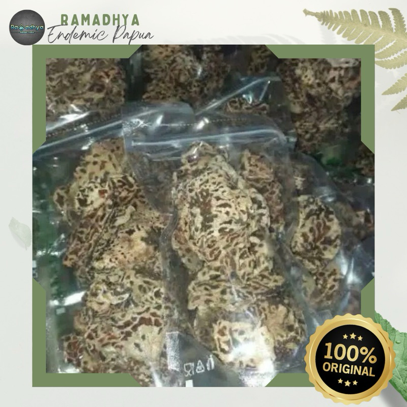 

Sarang Semut Asli Papua Original 100% Sarang Semut Putih Asli PAPUA Herbal Kesehatan Bisa COD