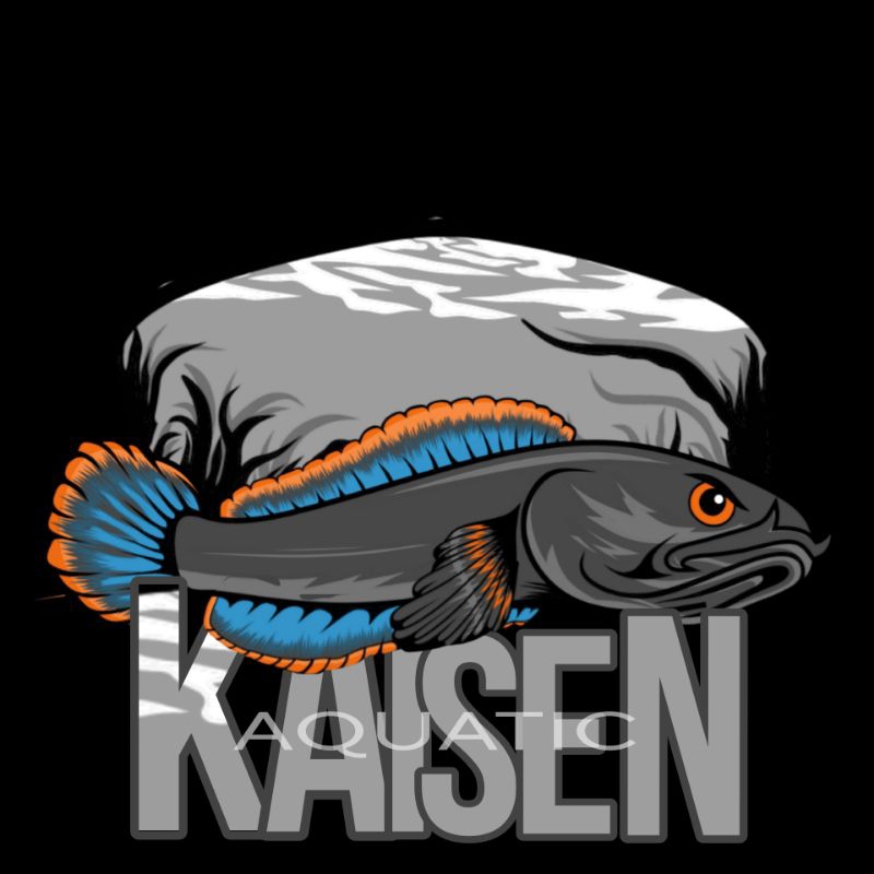 LIMBATA Besar GRADE A lawu ori