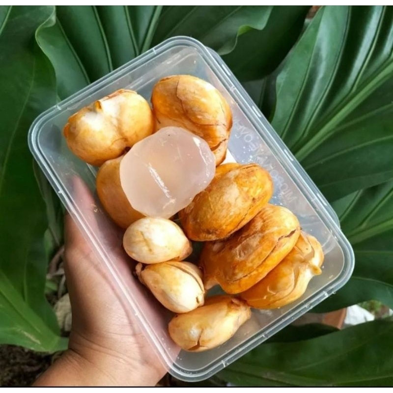 

LONTAR 1 BOX BUAH LONTAR