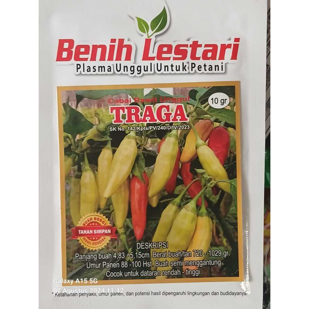 

CABE RAWIT UNGGUL TRAGA 10GRAM