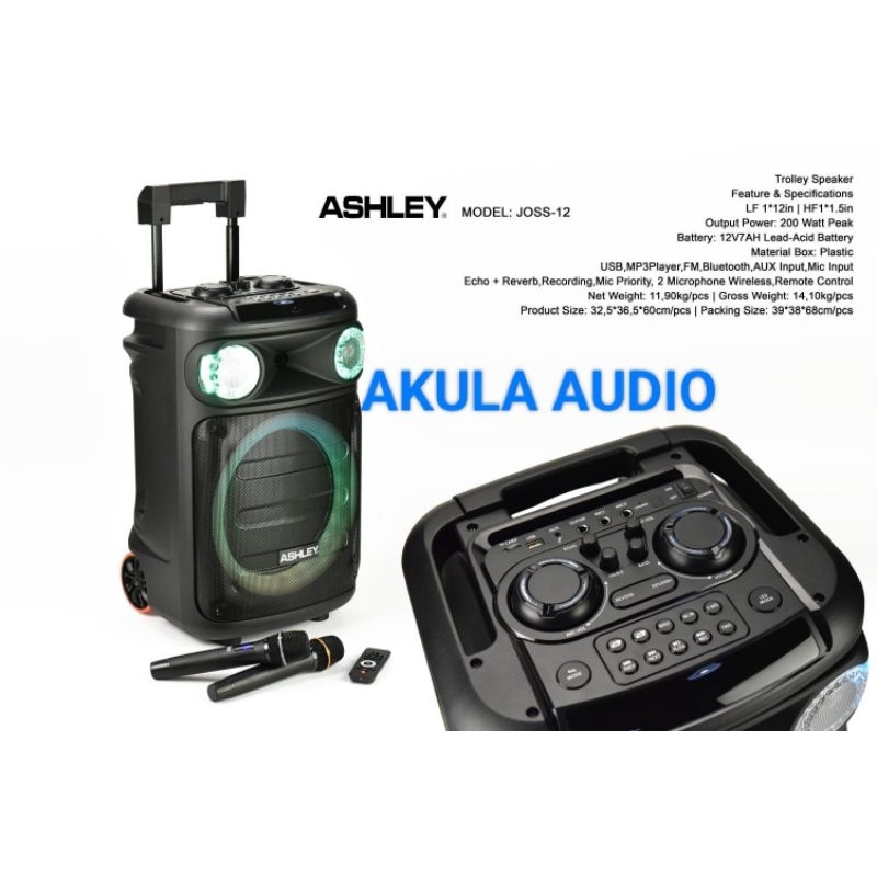 Portable Wireless Speaker Ashley Joss 12 12 Inch Original