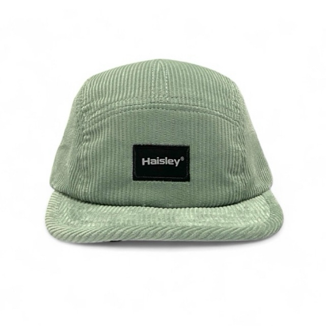 Haisley visor pendek topi 5 panel topi pria topi premium