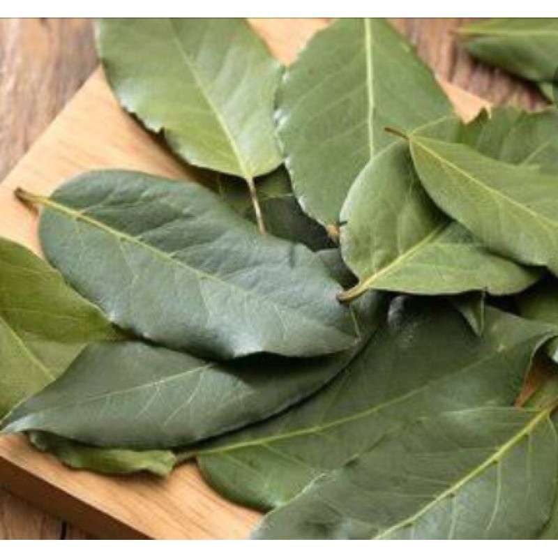 

Daun salam