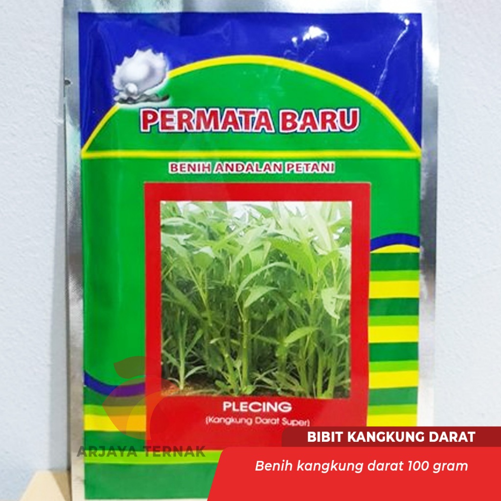 Benih Kangkung - Bibit Kangkung Darat Super 50 gram