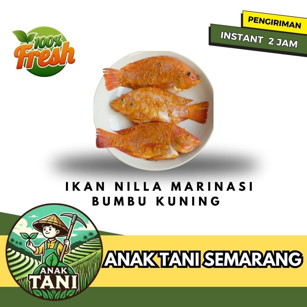 

[ANAK TANI] IKAN NILA BUMBU MARINASI / IKAN NILA BUMBU KUNING MENTAH SEGAR PER 500gr SIAP KIRIM INSTANT AREA SEMARANG