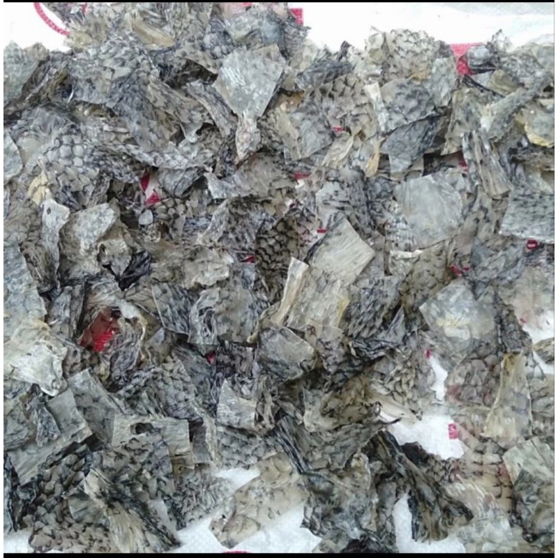 

rambak kulit ikan kakap 500gr