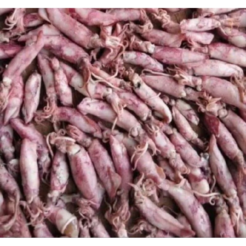 

Ikan Asin Cumi Fresh 100gr
