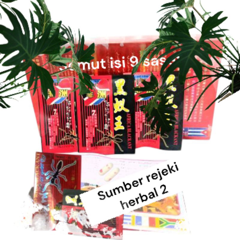 

minuman merah herbal soemoet nine(9)