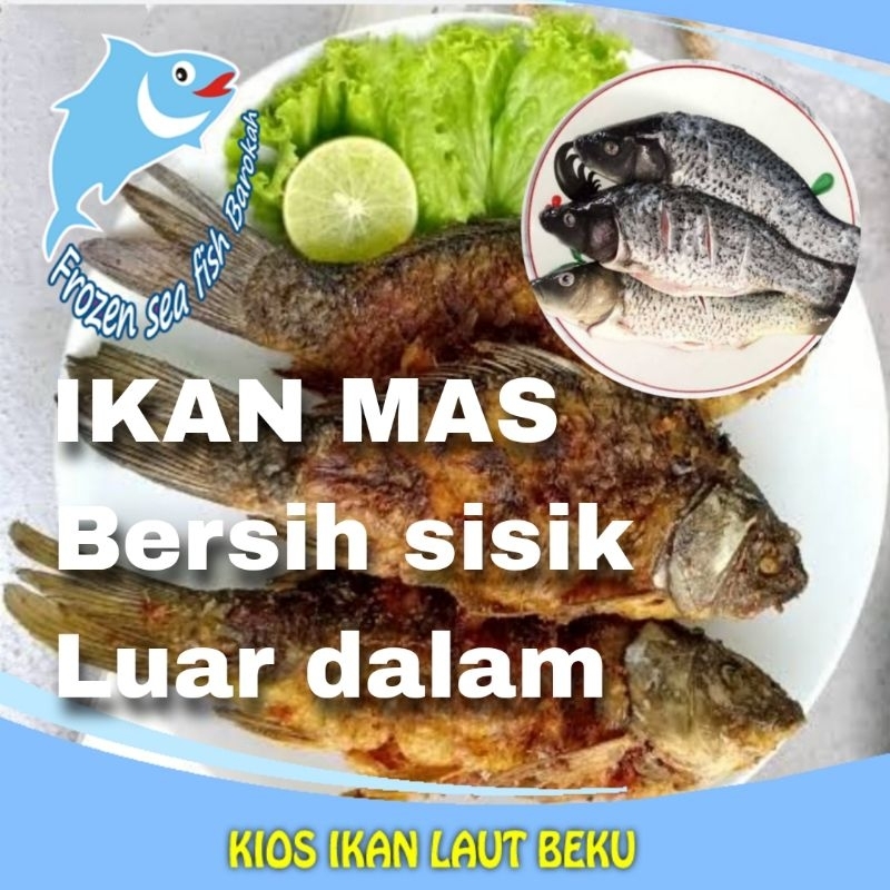 

Ikan Mas siap olah bersih sisik luar dalam