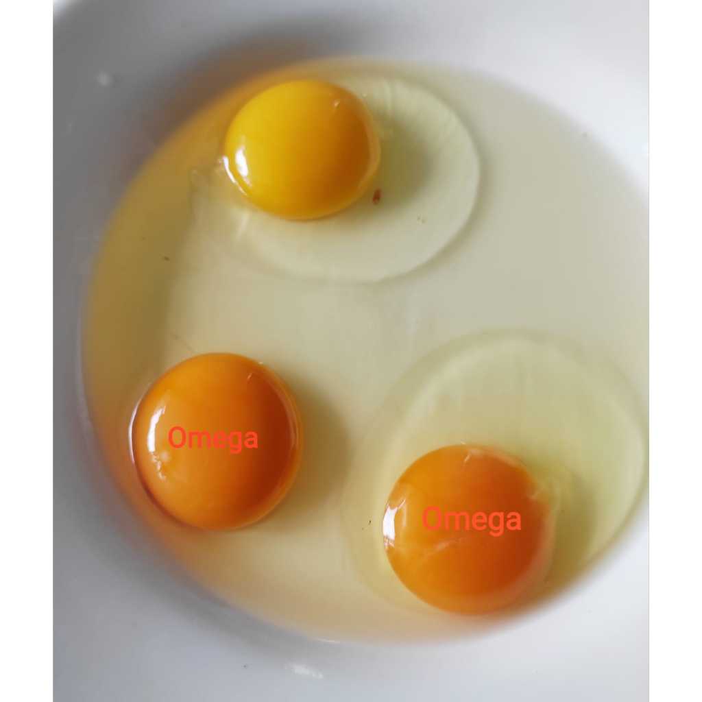 

IO Telur Ayam Negeri Omega Organik Jumbo/Besar (13-15 Butir) HENMART